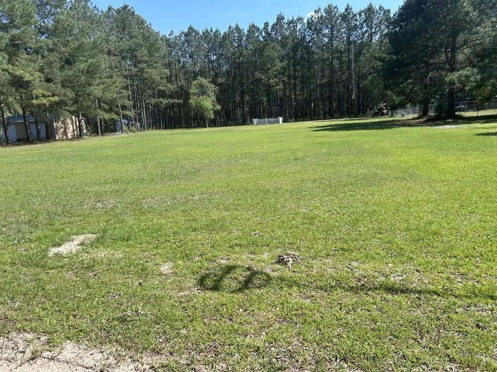 Reliable residential landscaping for residential properties across Clio, SC - Green Lawn Care