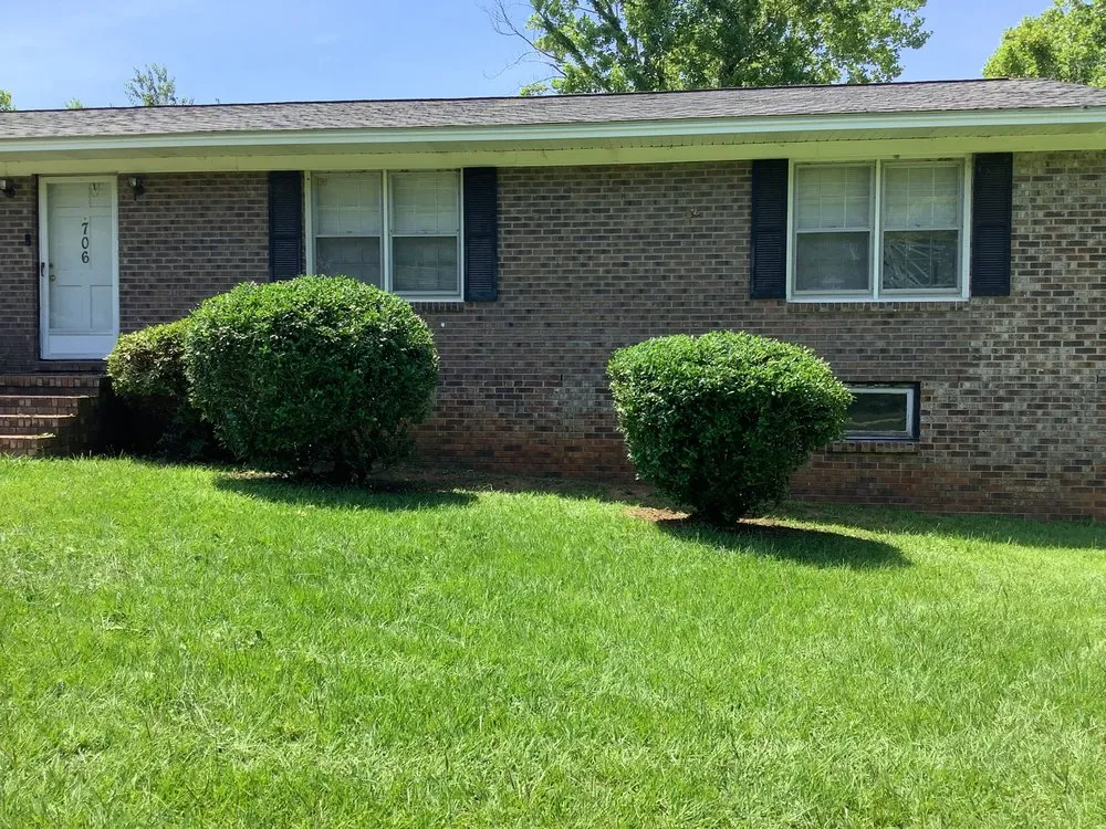 Reliable yard cleanup service for homes in Clio, SC by Green Lawn Care