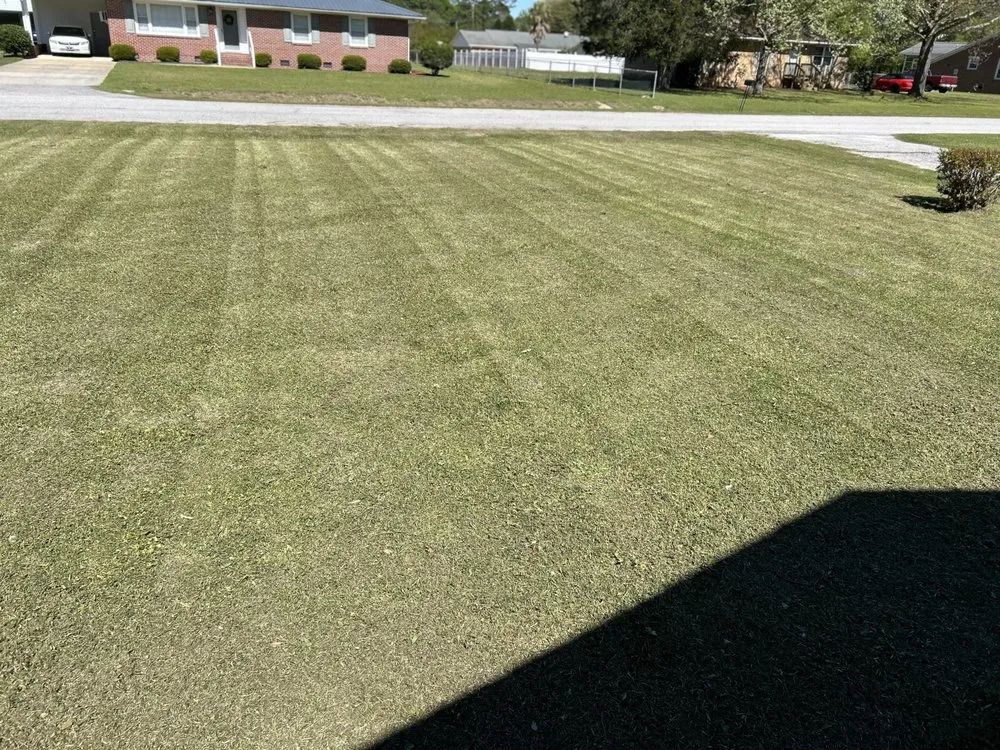 Local garden landscaping in Clio, SC by Green Lawn Care