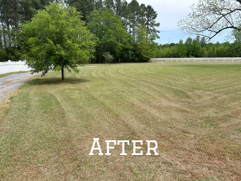 Local lawn mowing service for year-round maintenance across Clio, SC - Green Lawn Care