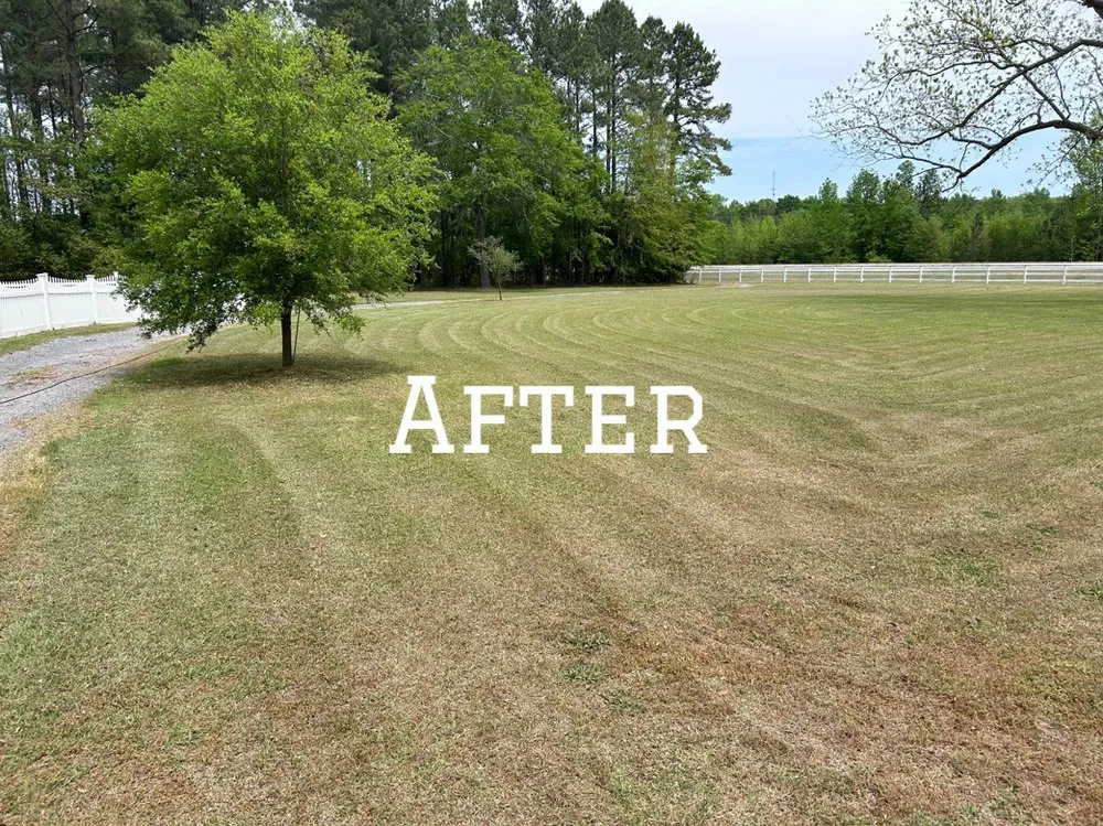 Expert residential landscaping in Clio, SC by Green Lawn Care