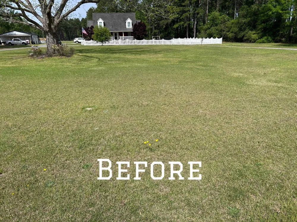 Expert garden landscaping experts serving Clio, SC - Green Lawn Care