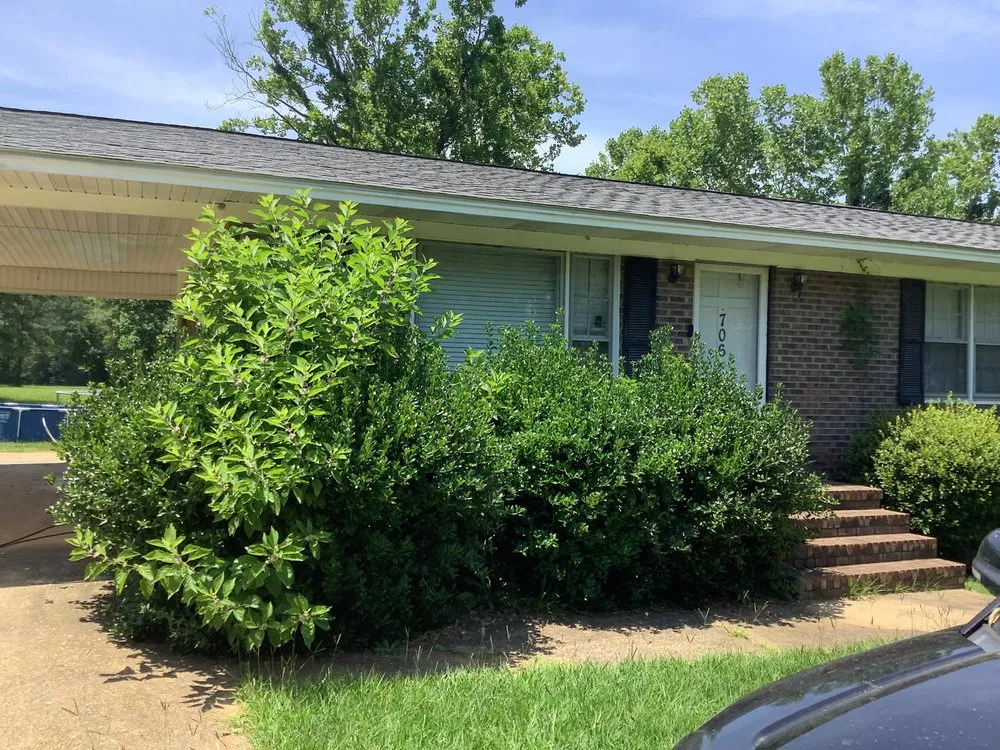 Custom landscape design for year-round maintenance across Clio, SC - Green Lawn Care