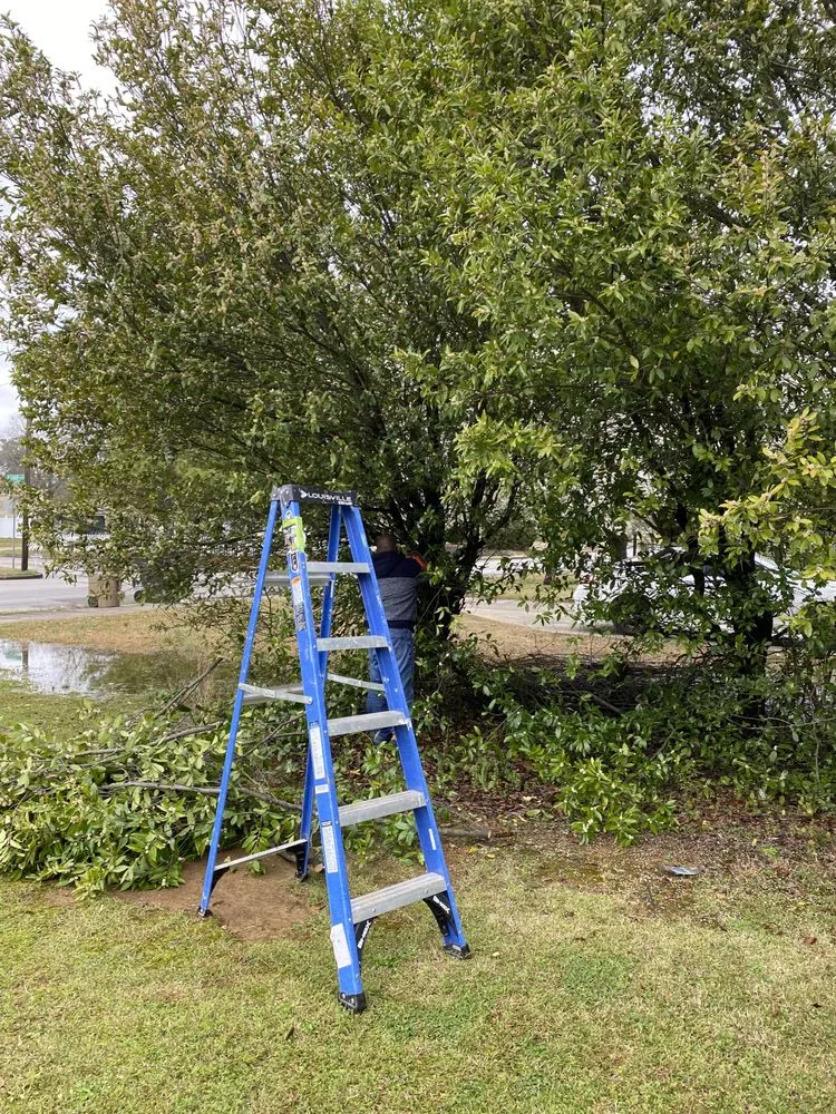 Expert landscape design experts serving Decatur, AL - Green Lawn Care