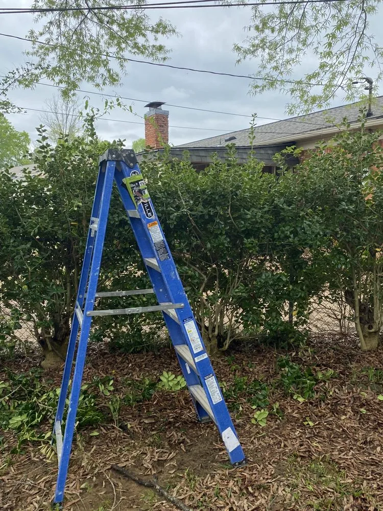 Custom yard cleanup service in Decatur, AL - Green Lawn Care