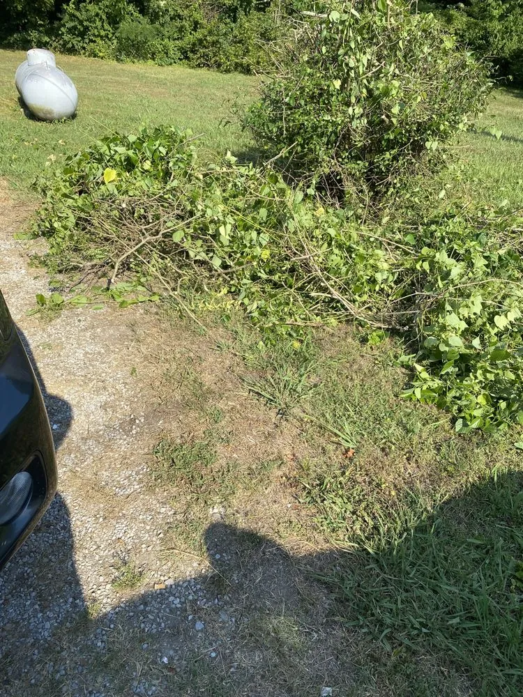 Local lawn mowing service in Decatur, AL - Green Lawn Care