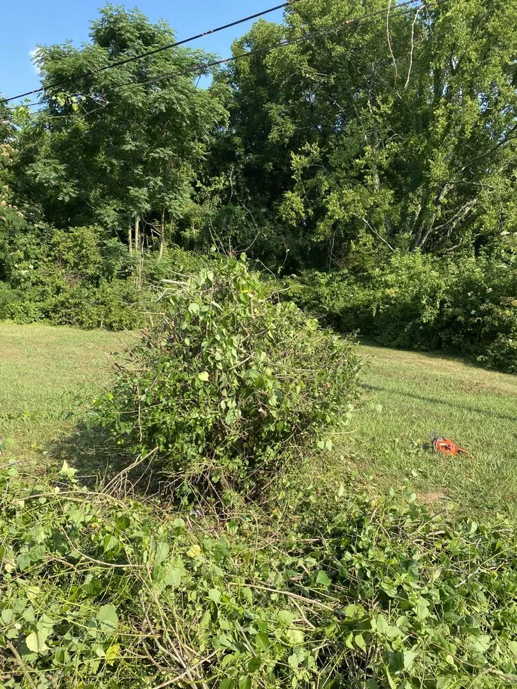 Trusted outdoor landscaping in Decatur, AL by Green Lawn Care