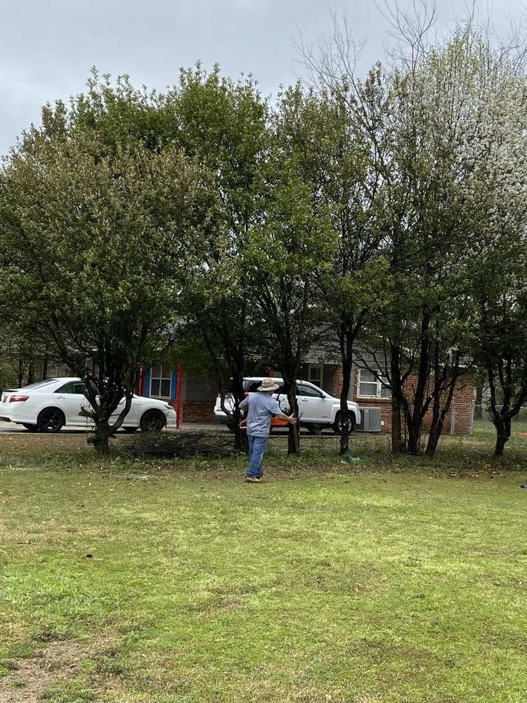 Top-rated landscaping services for year-round maintenance in Decatur, AL by Green Lawn Care