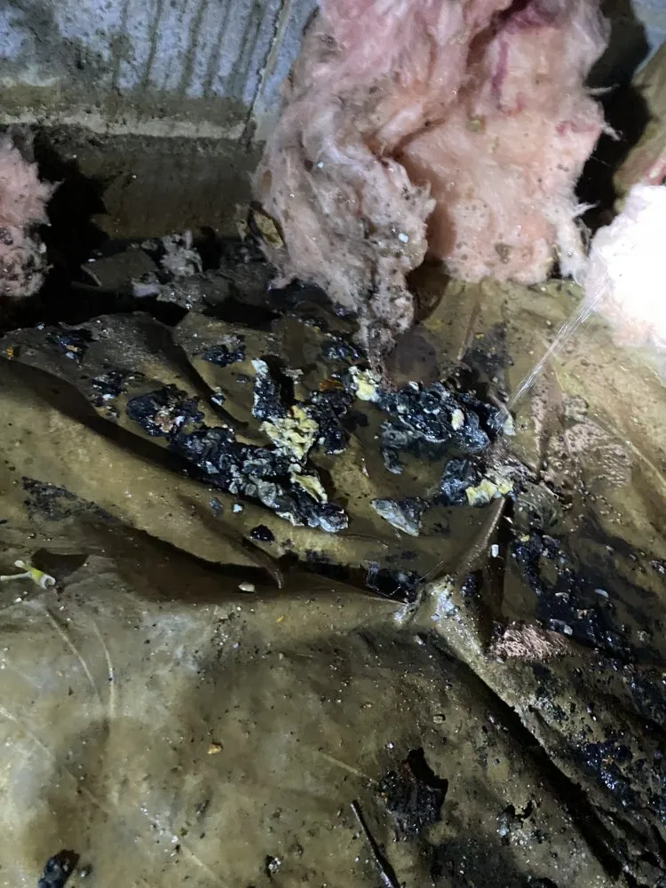 Top-rated landscape installation for residential properties in Decatur, AL by Green Lawn Care