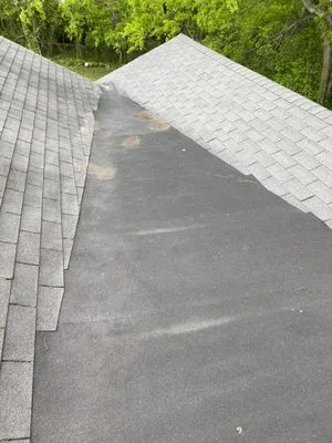 Green Lawn Care Logo