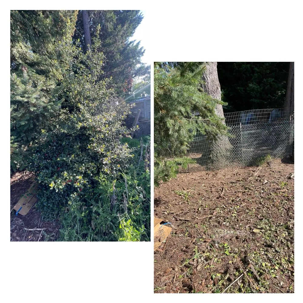 Reliable landscaping services near you in Longview, WA by Green Lawn Care