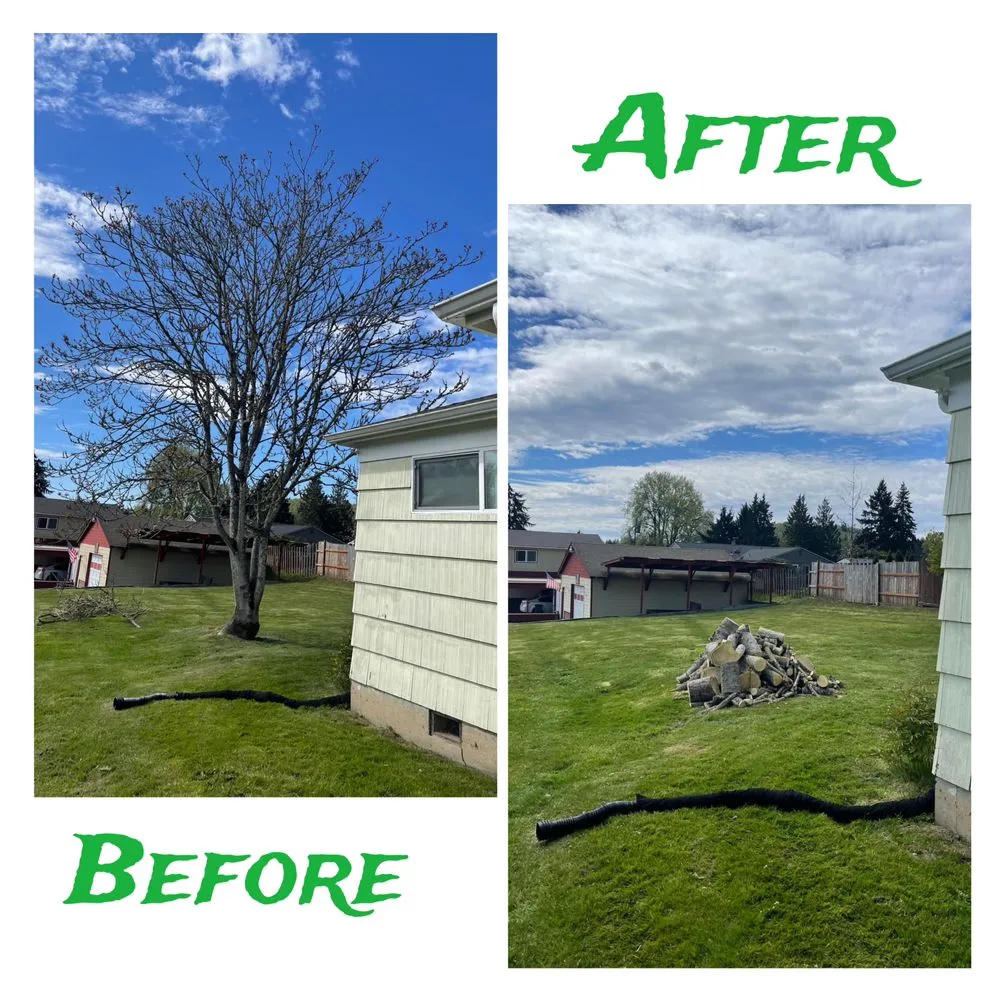 Professional outdoor landscaping in Longview, WA - Green Lawn Care