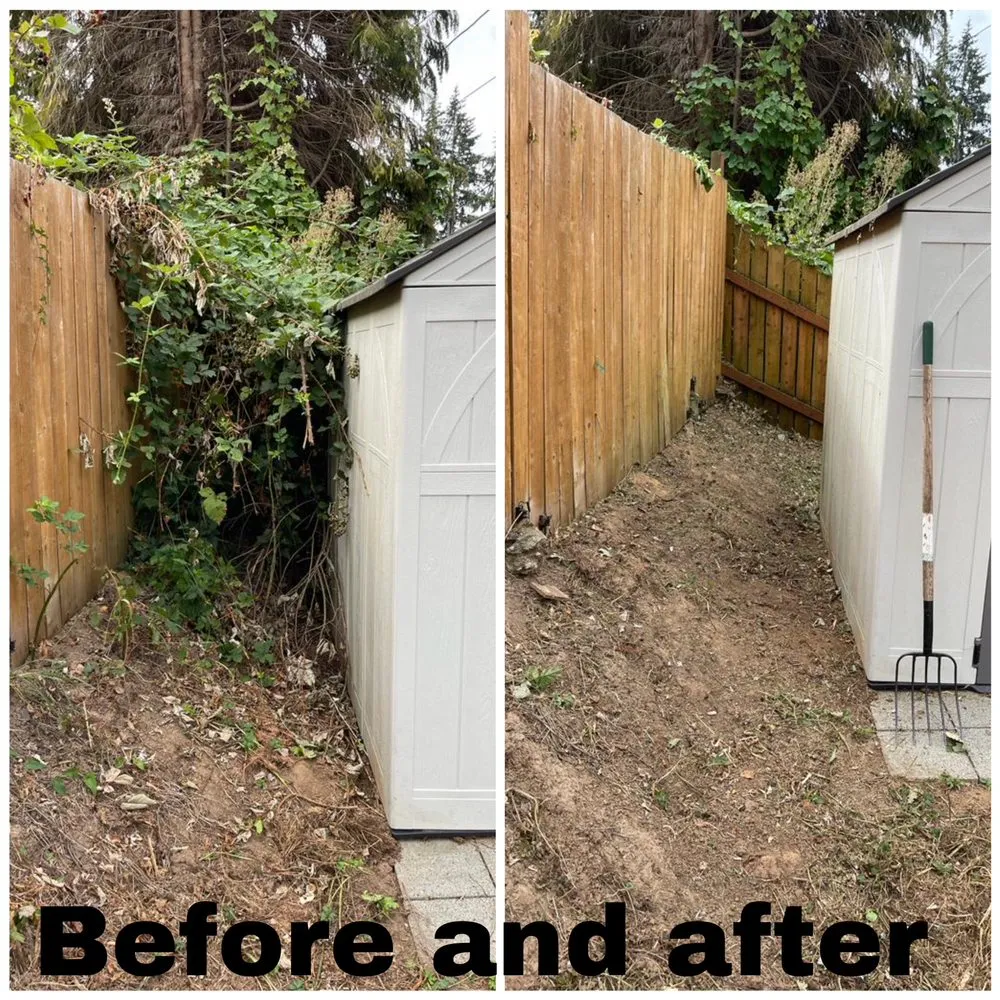 Expert residential landscaping for residential properties across Longview, WA - Green Lawn Care