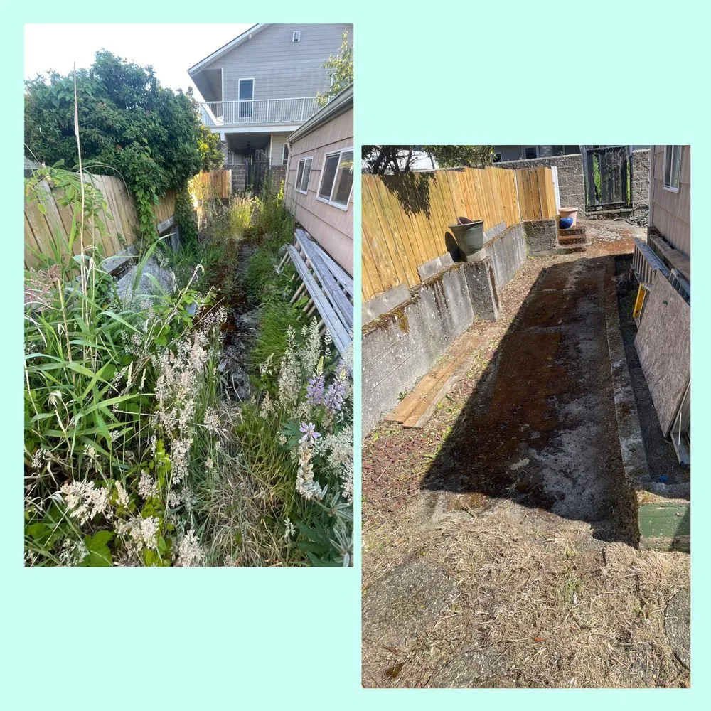 Custom landscape installation in Longview, WA - Green Lawn Care