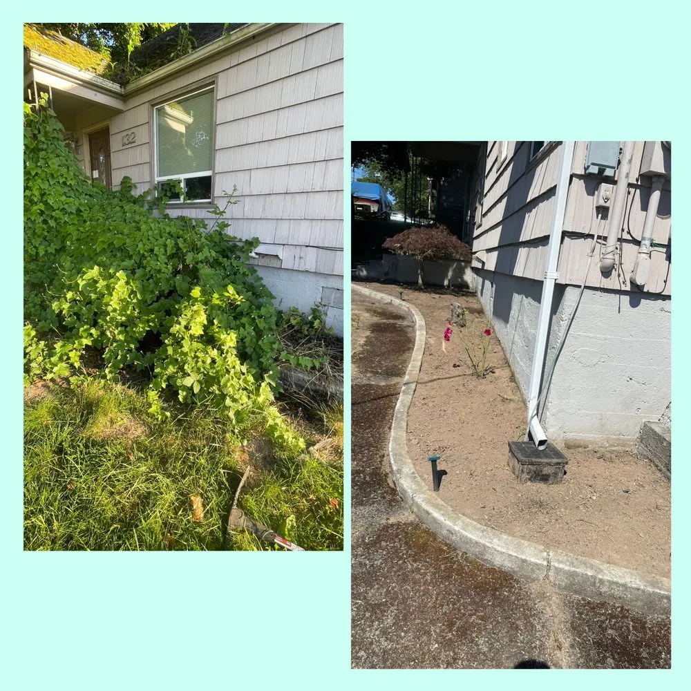 Expert landscaping services in Longview, WA - Green Lawn Care