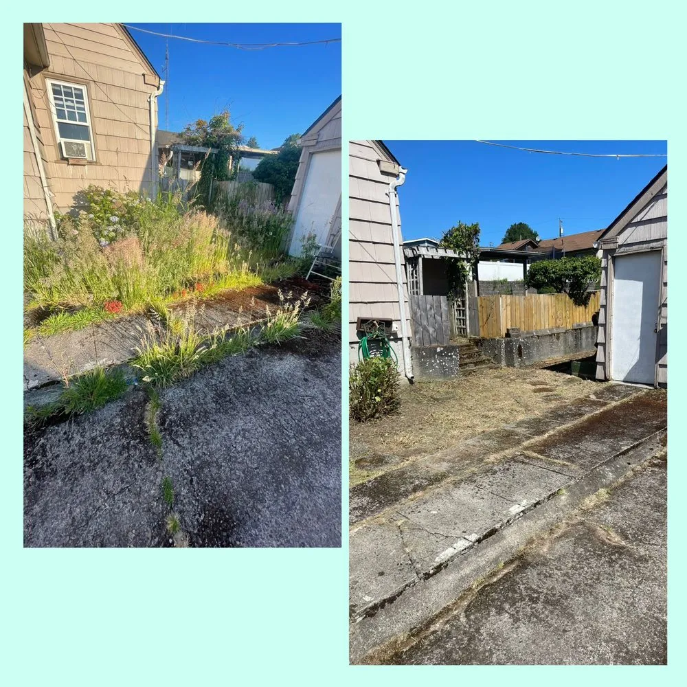 Trusted lawn care service for outdoor upgrades across Longview, WA - Green Lawn Care