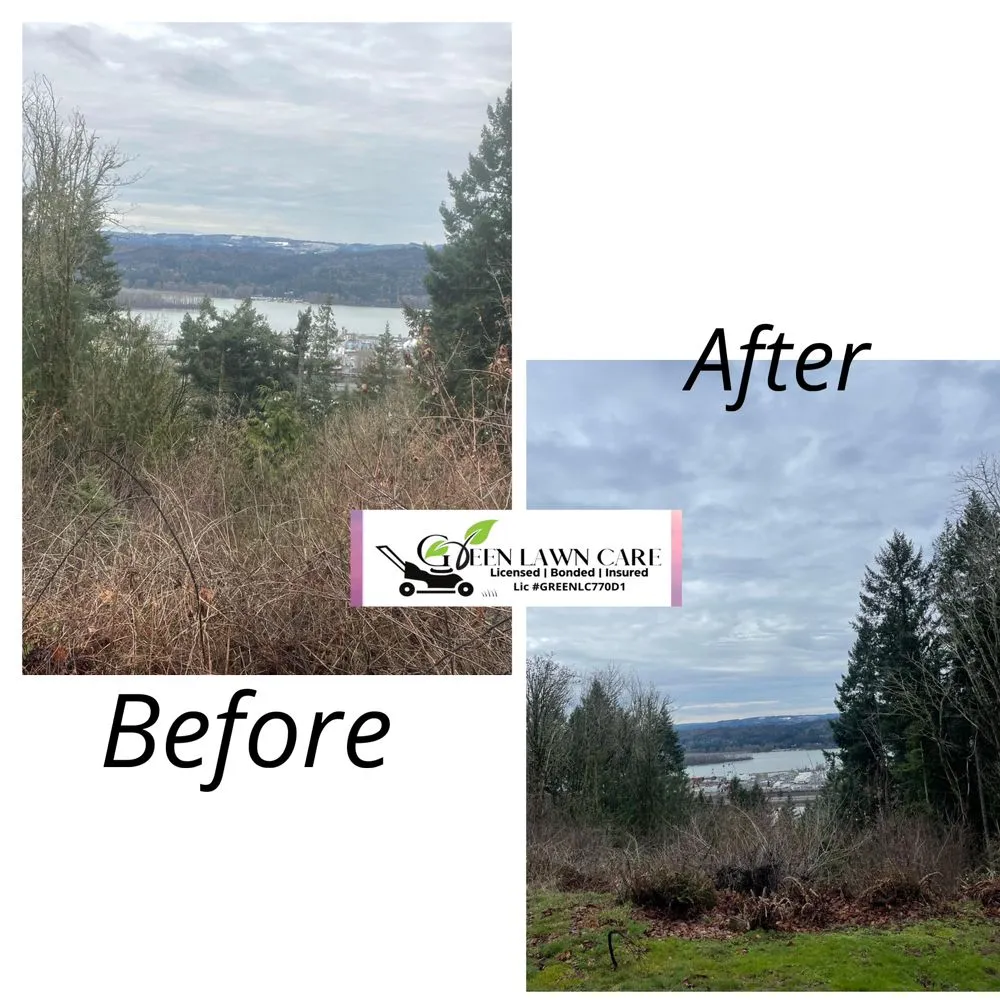 Expert landscape design experts serving Longview, WA - Green Lawn Care