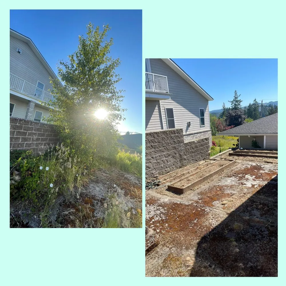 Top-rated garden landscaping experts serving Longview, WA - Green Lawn Care