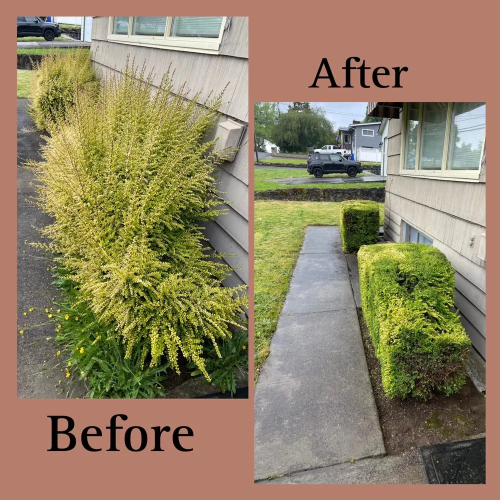 Top-rated lawn mowing service in Longview, WA - Green Lawn Care