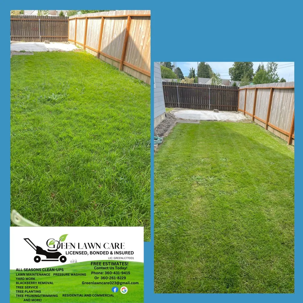 Reliable lawn care service experts serving Longview, WA - Green Lawn Care