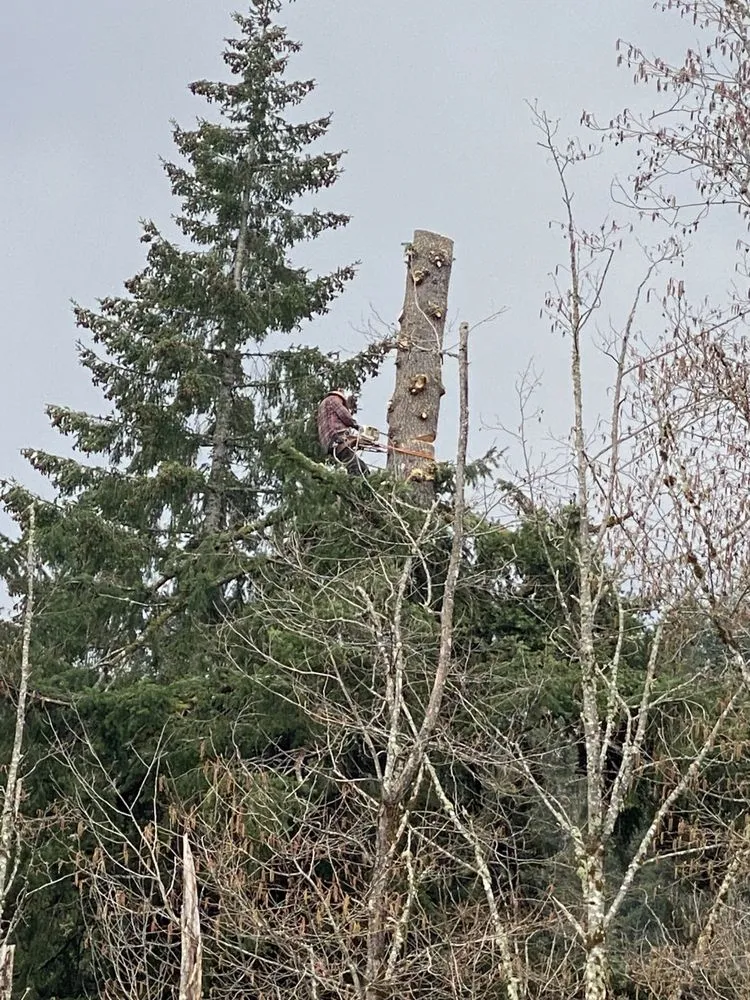 Custom lawn care service for beautiful yards in Longview, WA by Green Lawn Care