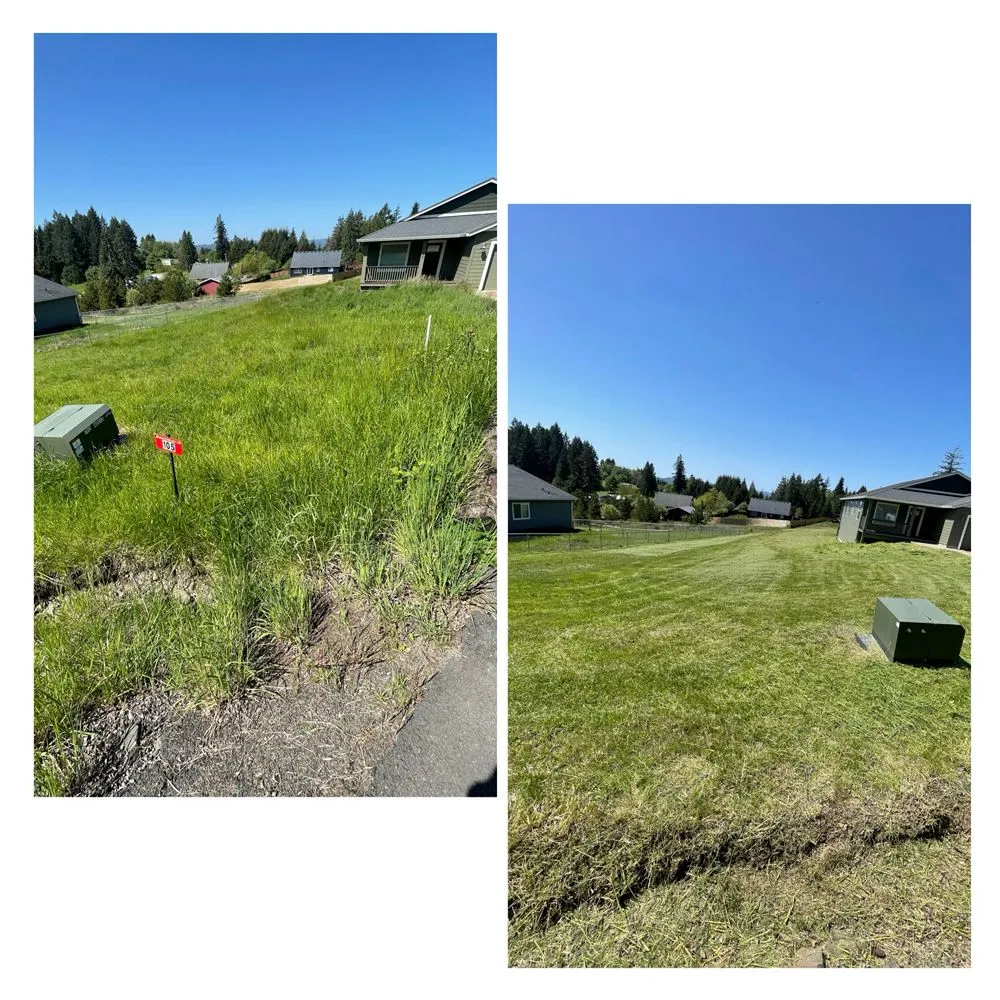 Expert lawn care service experts serving Longview, WA - Green Lawn Care