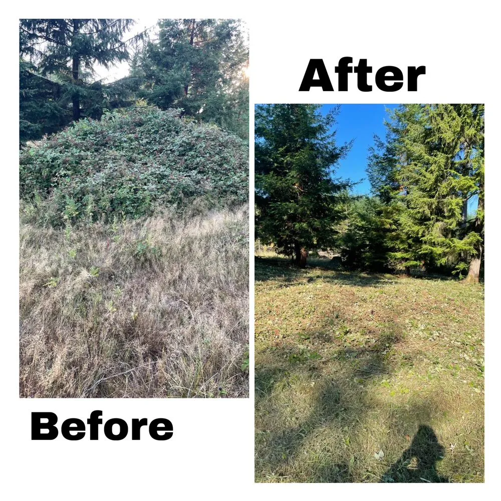 Trusted landscape installation in Longview, WA by Green Lawn Care