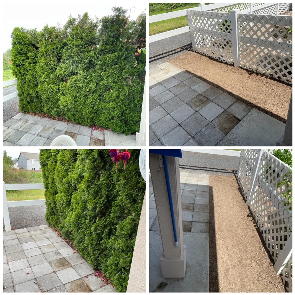 Professional lawn care service in Longview, WA by Green Lawn Care