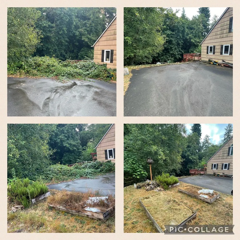 Top-rated lawn mowing service in Longview, WA by Green Lawn Care