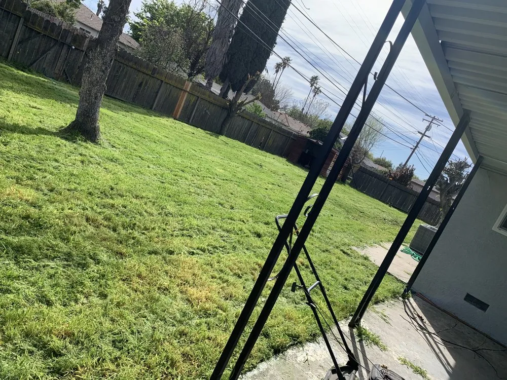 Professional yard cleanup service in Stockton, CA by Green Lawn Care