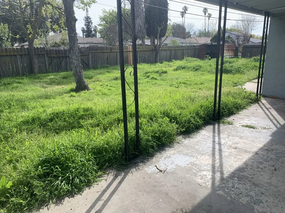 Trusted landscaping services for homes in Stockton, CA by Green Lawn Care