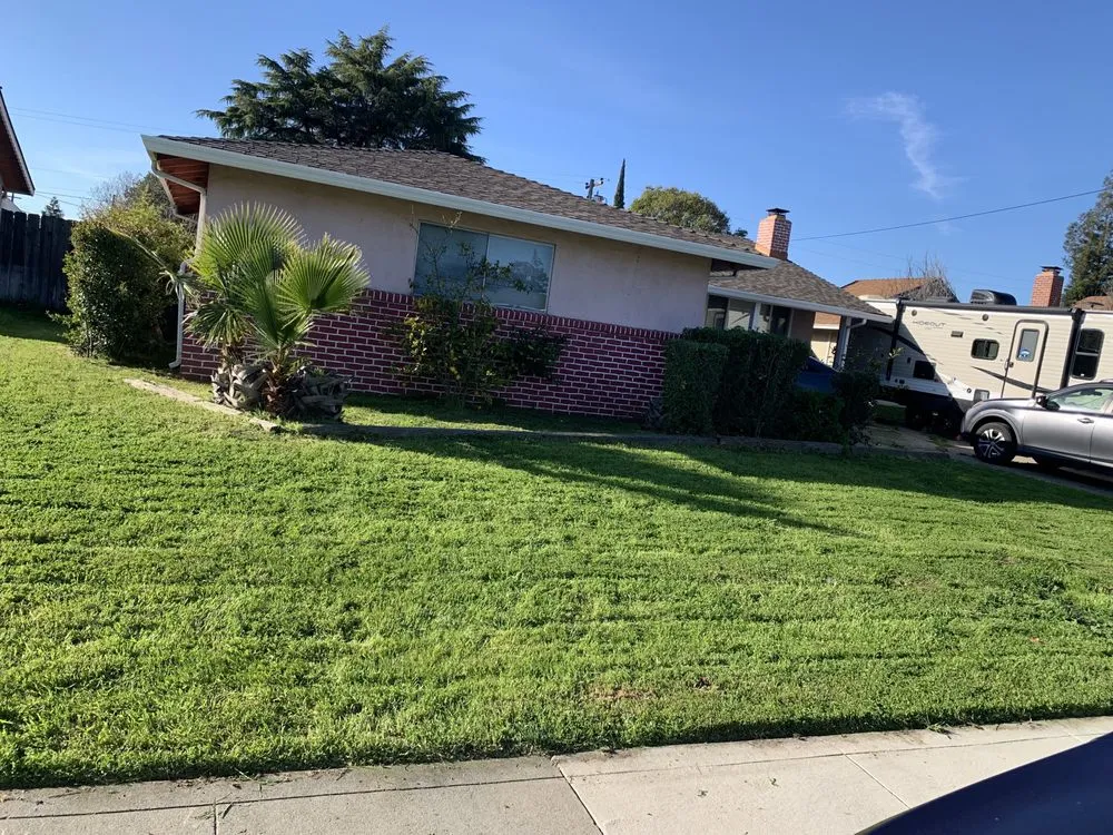 Local lawn mowing service in Stockton, CA by Green Lawn Care