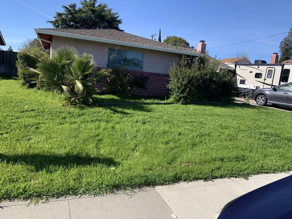 Custom lawn care service for beautiful yards across Stockton, CA - Green Lawn Care