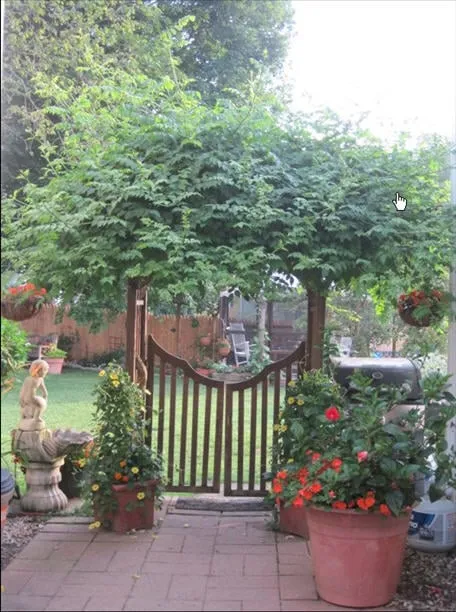 Custom garden landscaping in Chelmsford, MA by Green Lawn Company