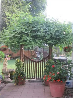 Green Lawn Company Logo