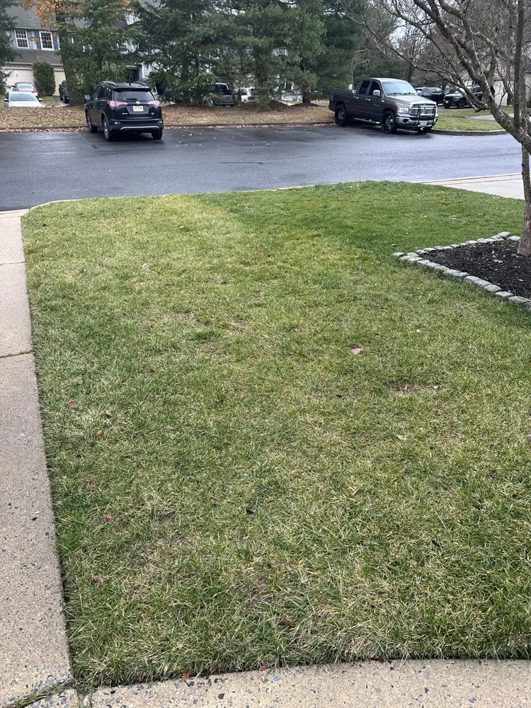 Custom landscape design with custom design in Lindenwold, NJ by Green Lawn Fertilizing