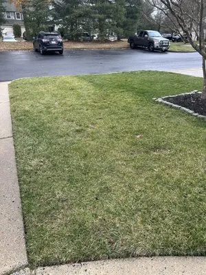 Green Lawn Fertilizing Logo