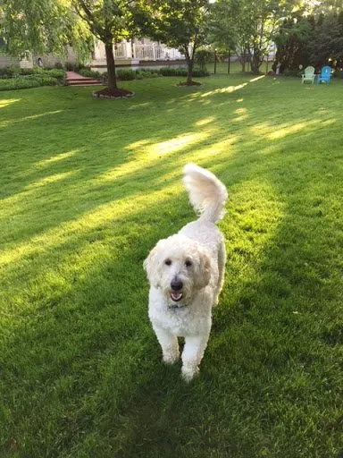 Affordable outdoor landscaping near you across West Chester, PA - Green Lawn Fertilizing