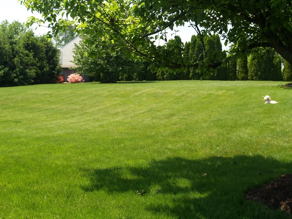 Custom garden landscaping in West Chester, PA by Green Lawn Fertilizing