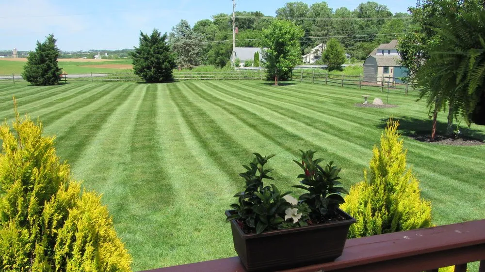 Reliable lawn care service in West Chester, PA by Green Lawn Fertilizing