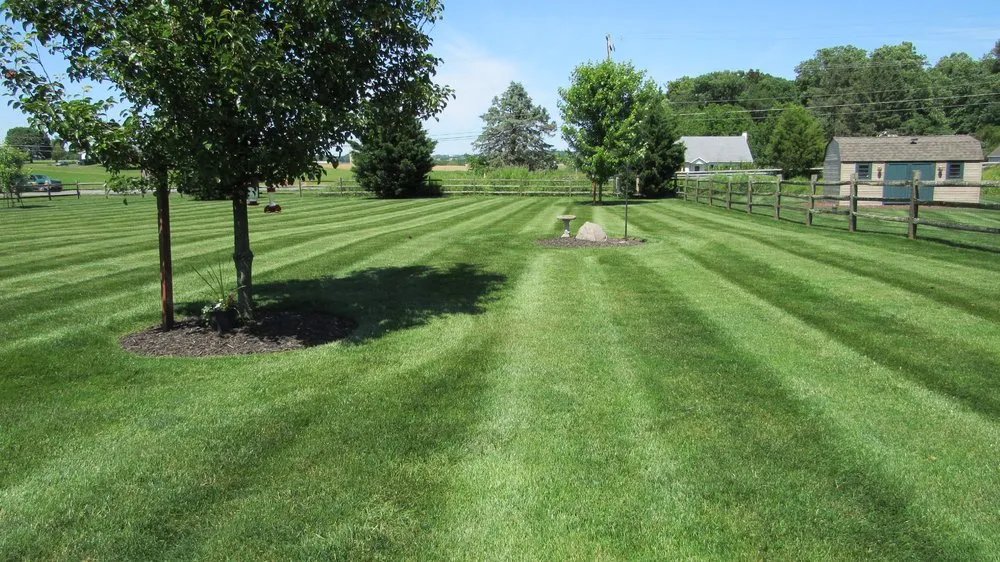 Local yard cleanup service in West Chester, PA - Green Lawn Fertilizing