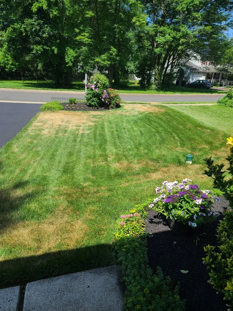 Professional yard maintenance in West Chester, PA by Green Lawn Fertilizing