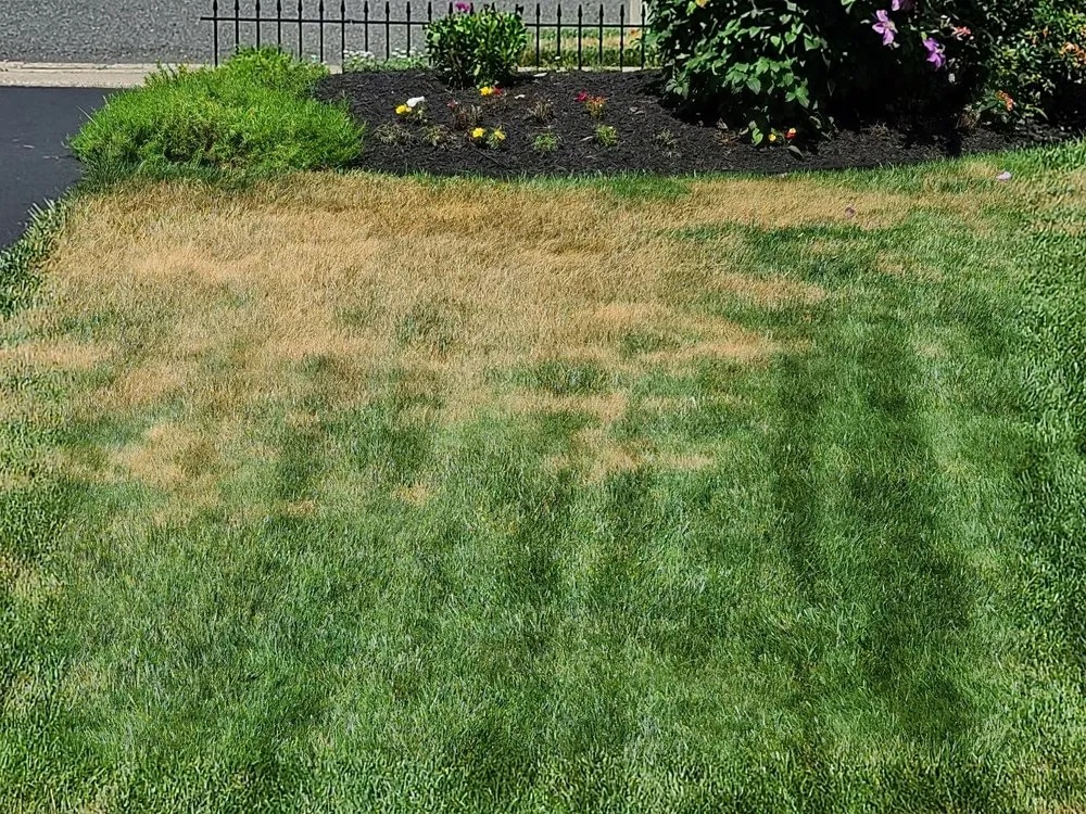 Reliable landscape installation in West Chester, PA - Green Lawn Fertilizing