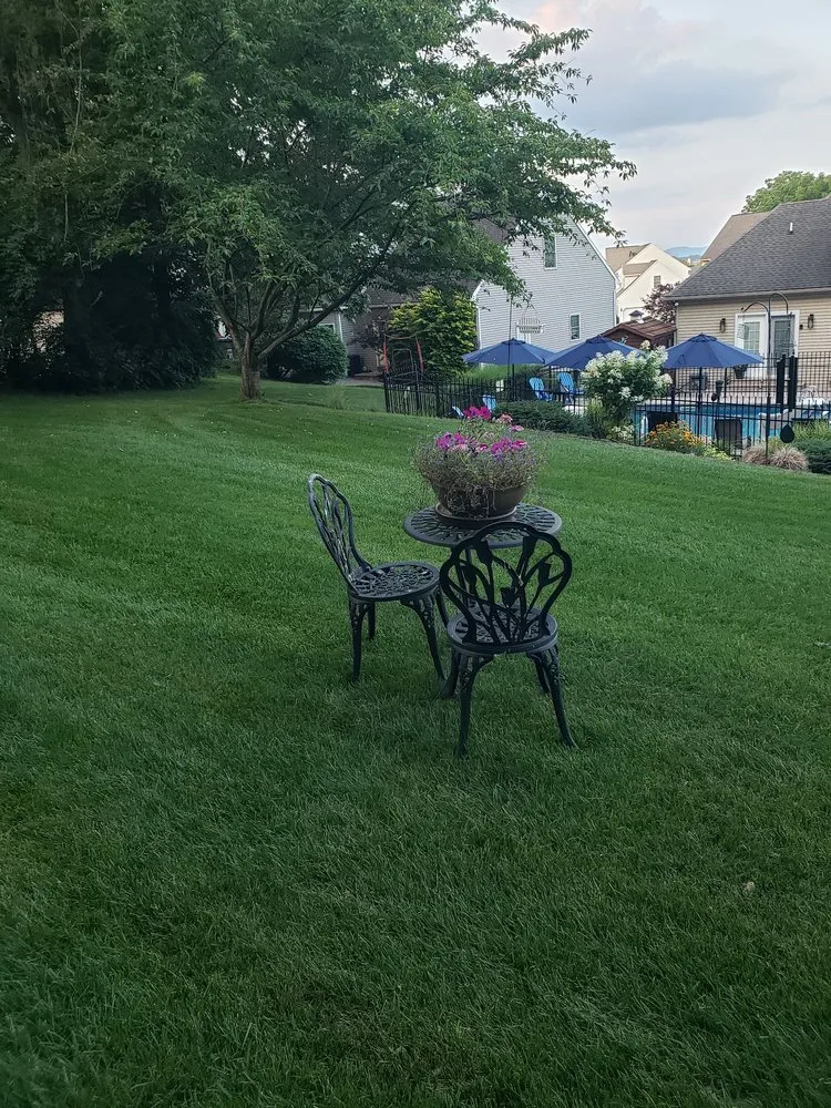 Professional landscape installation for outdoor upgrades across West Chester, PA - Green Lawn Fertilizing