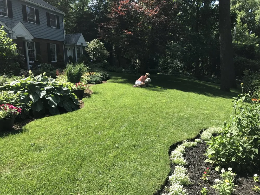 Trusted landscaping services for year-round maintenance across West Chester, PA - Green Lawn Fertilizing