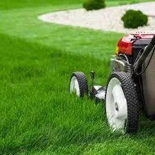 Expert lawn mowing service near you across River Forest, IL - Green Lawn Guy