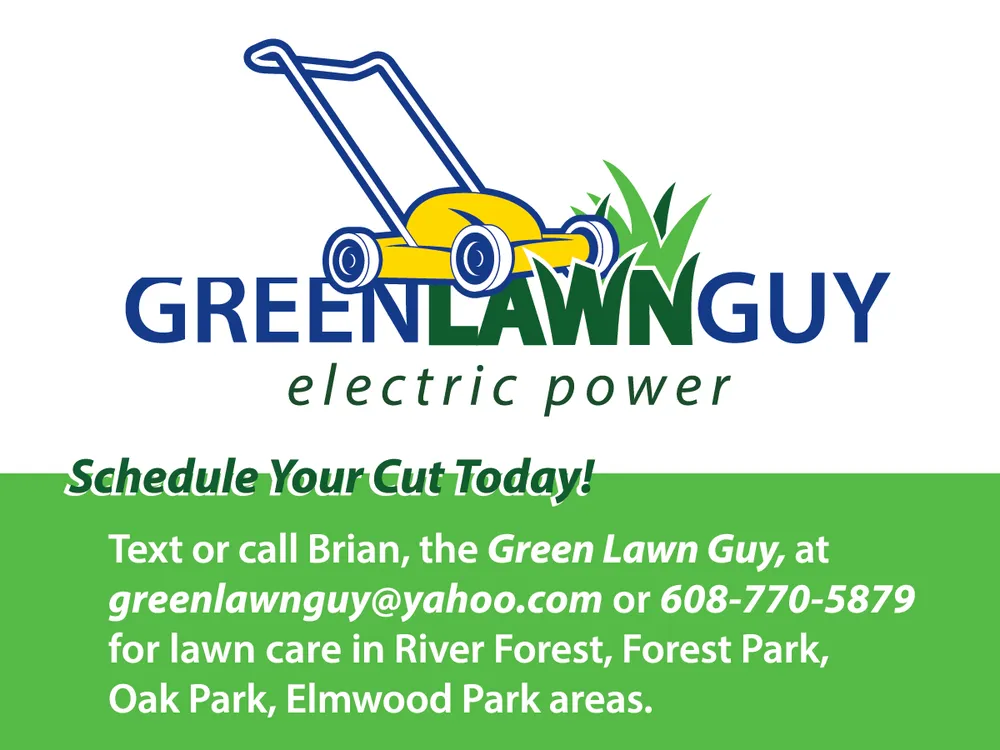 Expert yard cleanup service in River Forest, IL by Green Lawn Guy
