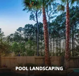 Professional landscaping services experts serving Houston, TX - Green Lawn Irrigation & Landscape