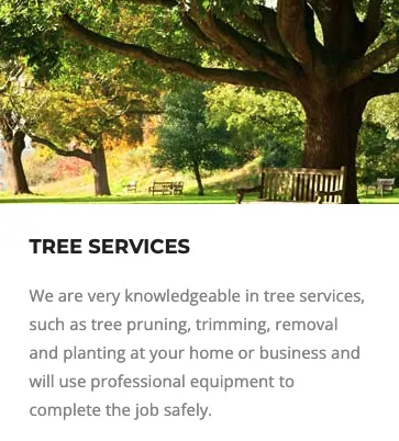 Trusted landscaping services experts serving Houston, TX - Green Lawn Irrigation & Landscape