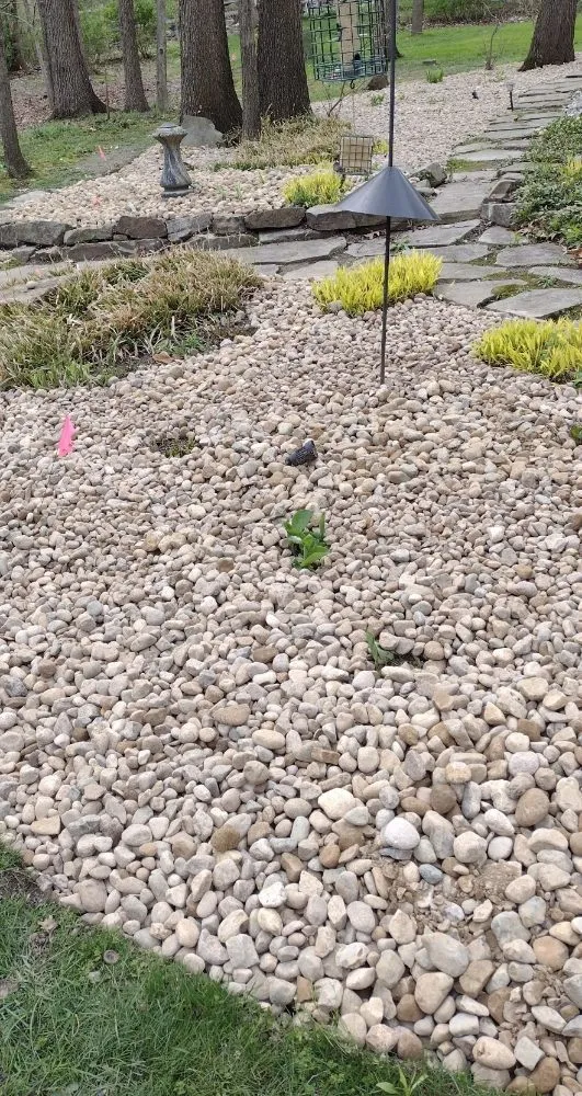 Top-rated yard cleanup service for residential properties across Fort Wayne, IN - Green Lawn Landscape & Lawncare